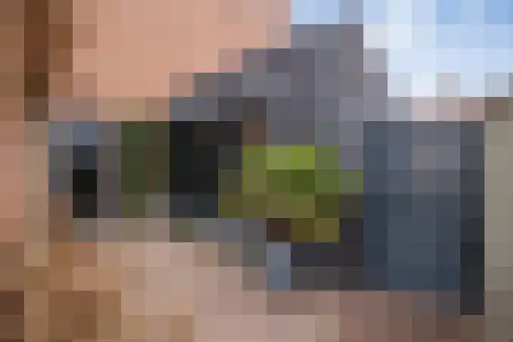 Oude Dijk 70 Liempde thumbnail 4