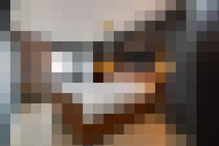 Oude Dijk 70 Liempde thumbnail 40