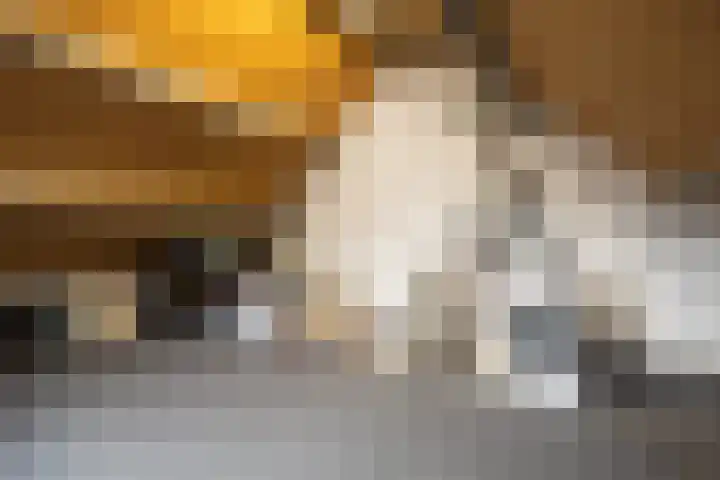 Oude Dijk 70 Liempde thumbnail 51