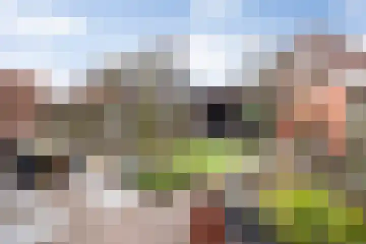 Oude Dijk 70 Liempde thumbnail 57