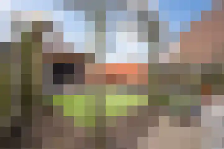 Oude Dijk 70 Liempde thumbnail 59