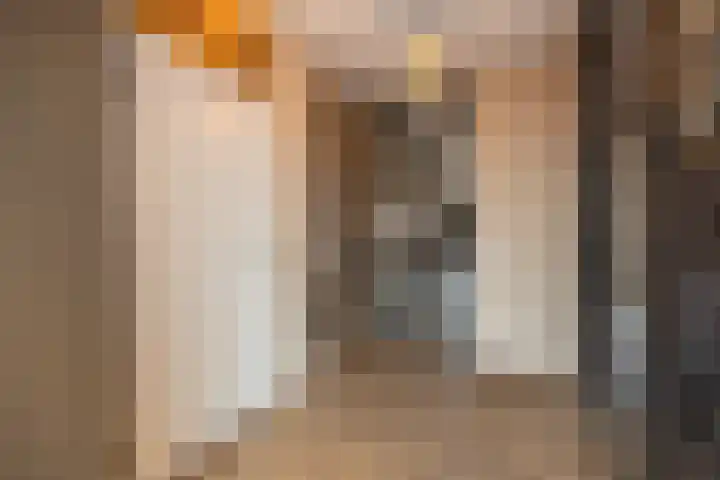 Oude Dijk 70 Liempde thumbnail 6