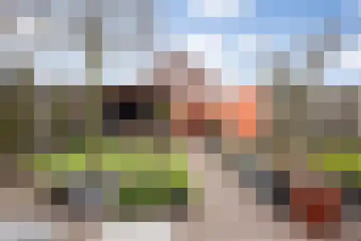 Oude Dijk 70 Liempde thumbnail 60