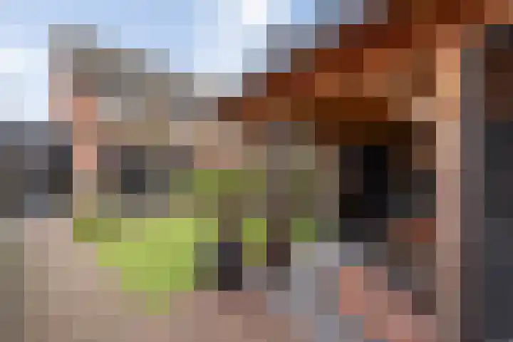 Oude Dijk 70 Liempde thumbnail 64