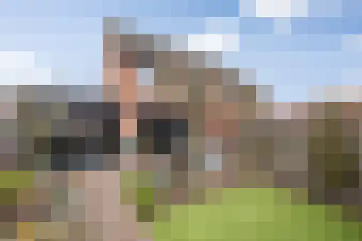 Oude Dijk 70 Liempde thumbnail 67