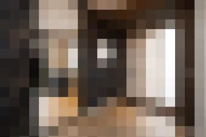 Oude Dijk 70 Liempde thumbnail 7
