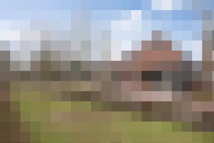 Oude Dijk 70 Liempde thumbnail 74