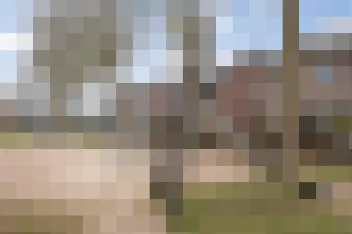 Oude Dijk 70 Liempde thumbnail 75