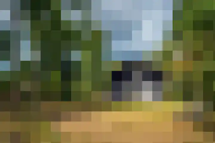 Oude Dijkje 30 De Koog thumbnail 13