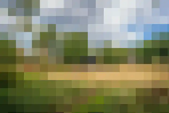 Oude Dijkje 30 De Koog thumbnail 16