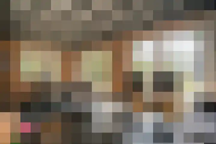 Oude Dijkje 30 De Koog thumbnail 19