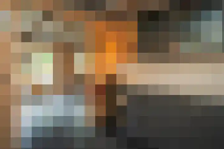 Oude Dijkje 30 De Koog thumbnail 25