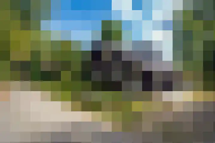 Oude Dijkje 30 De Koog foto 3