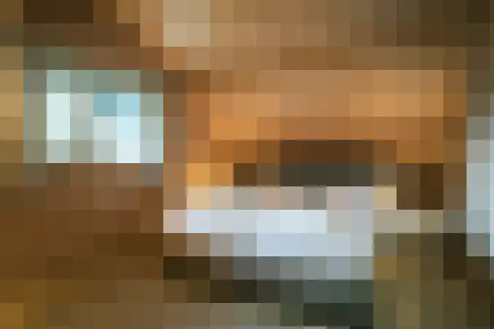 Oude Dijkje 30 De Koog thumbnail 32