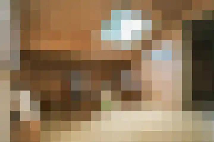 Oude Dijkje 30 De Koog thumbnail 36