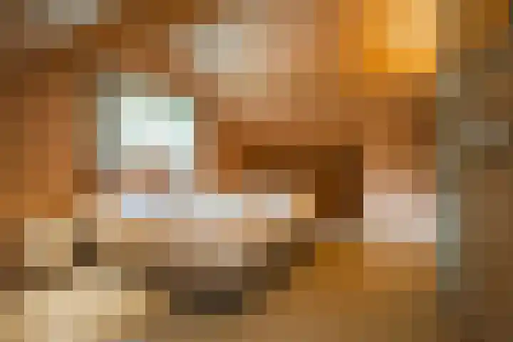 Oude Dijkje 30 De Koog thumbnail 38