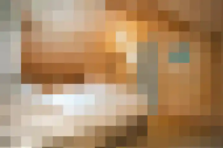 Oude Dijkje 30 De Koog thumbnail 41