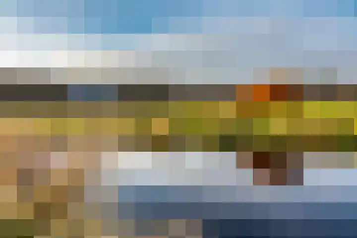 Oude Dijkje 30 De Koog thumbnail 44