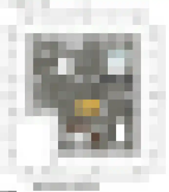 Oude Dijkje 30 De Koog thumbnail 47