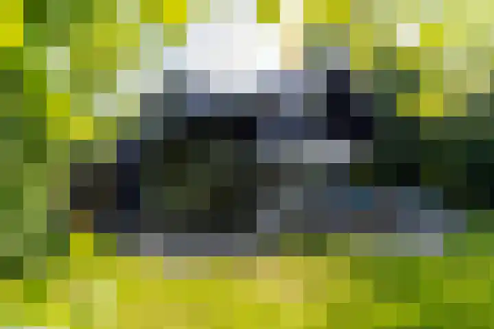 Oude Dijkje 30 De Koog thumbnail 5