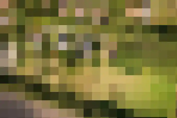 Oude Dijkje 30 De Koog thumbnail 6