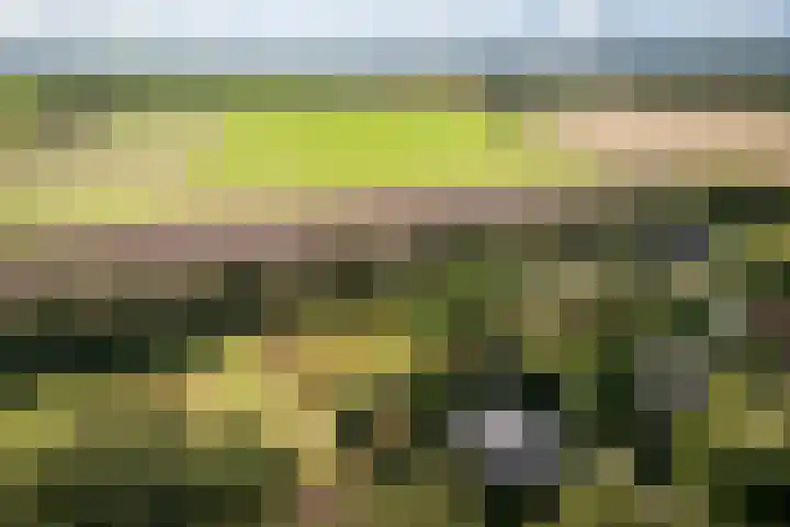 Oude Dijkje 30 De Koog thumbnail 8