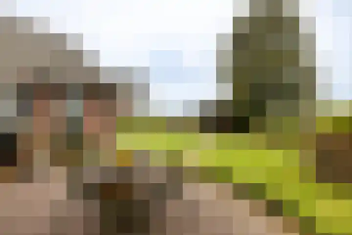 Oude Eltenseweg 18 Beek thumbnail 16