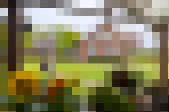 Oude Eltenseweg 18 Beek thumbnail 20