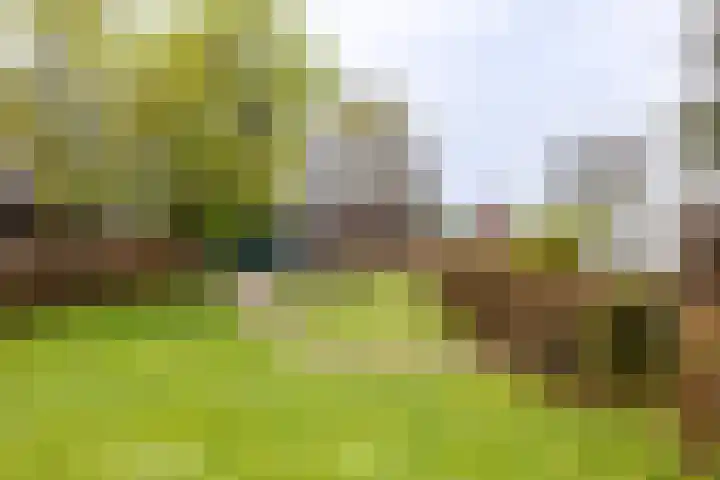 Oude Eltenseweg 18 Beek thumbnail 22