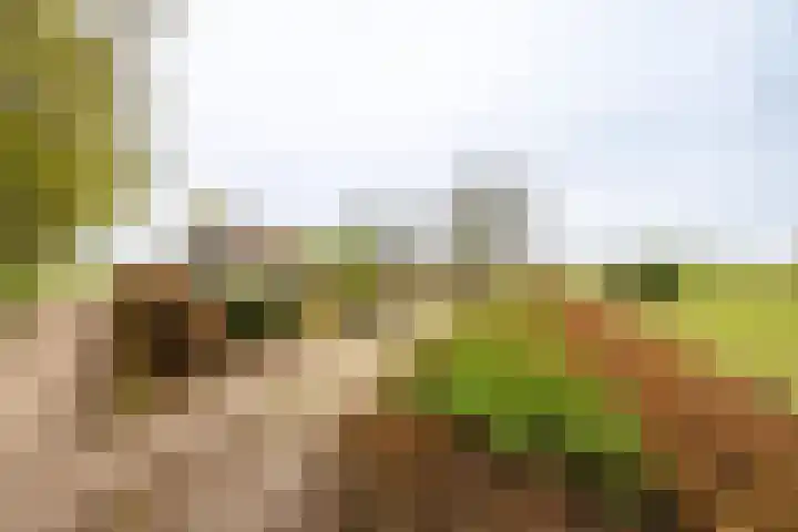 Oude Eltenseweg 18 Beek thumbnail 23