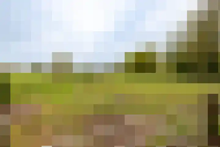 Oude Eltenseweg 18 Beek thumbnail 24