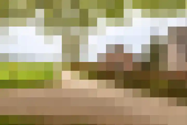 Oude Eltenseweg 18 Beek thumbnail 26