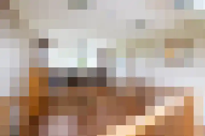 Oude Eltenseweg 18 Beek thumbnail 45