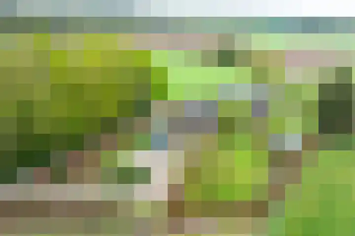 Oude Eltenseweg 18 Beek thumbnail 49