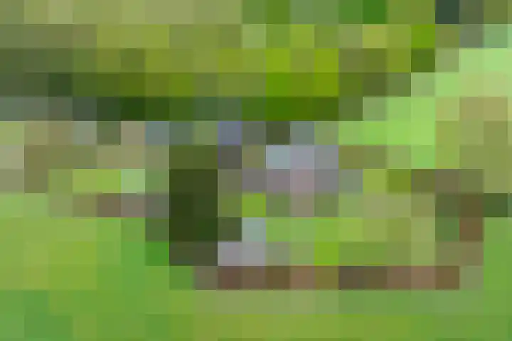 Oude Eltenseweg 18 Beek thumbnail 50