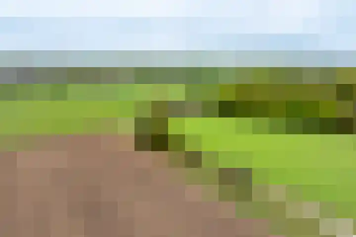 Oude Eltenseweg 18 Beek thumbnail 55