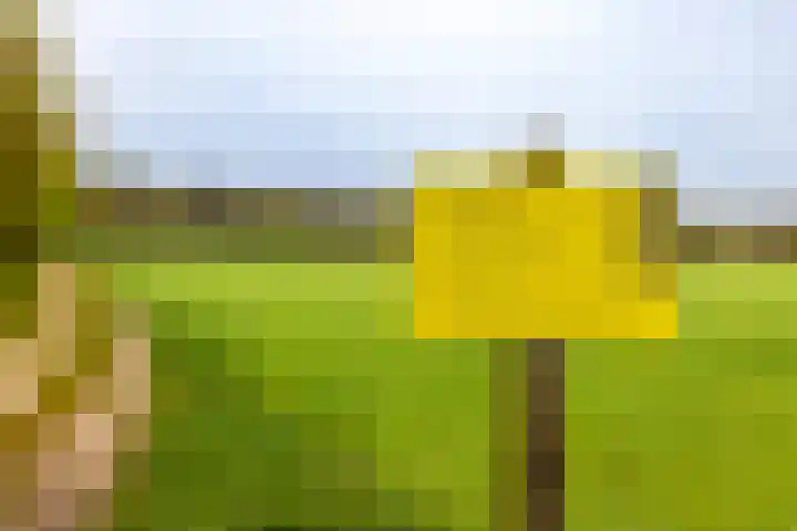Oude Eltenseweg 18 Beek thumbnail 56