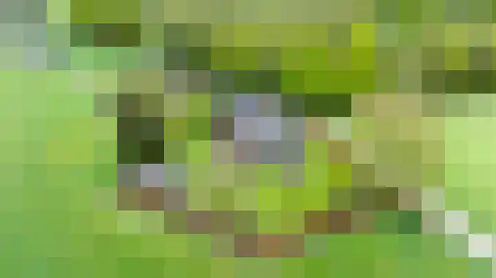 Oude Eltenseweg 18 Beek thumbnail 57