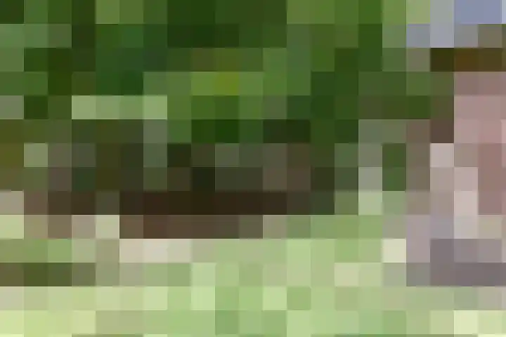 Oude Haven 2 Naarden thumbnail 11