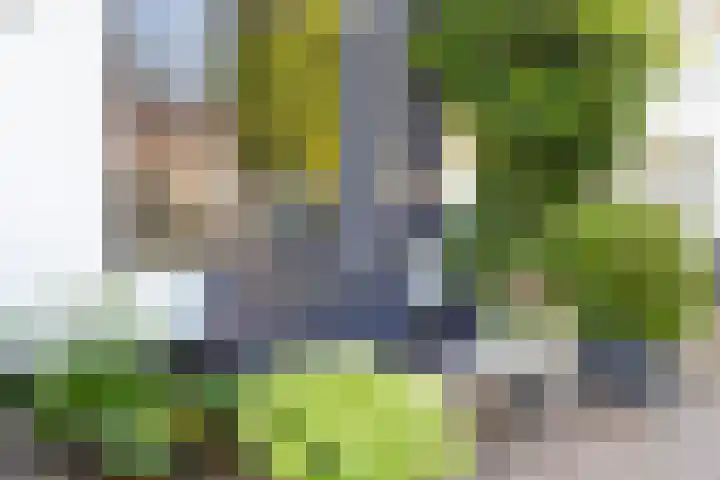 Oude Haven 2 Naarden thumbnail 5