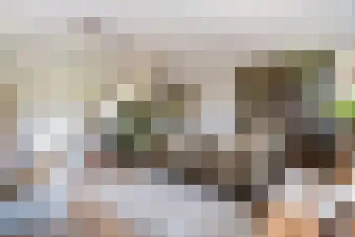 Oude Haven 2 Naarden thumbnail 7