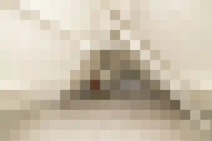 Oude Haven 3 Schoonhoven thumbnail 50