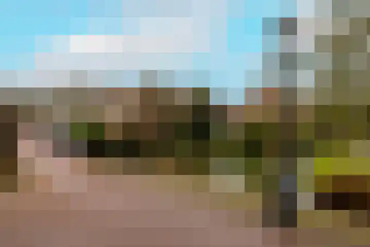Oude Haven 3 Schoonhoven thumbnail 8