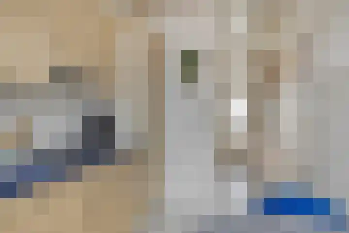 Oude Havenstraat 31 Arnemuiden thumbnail 15