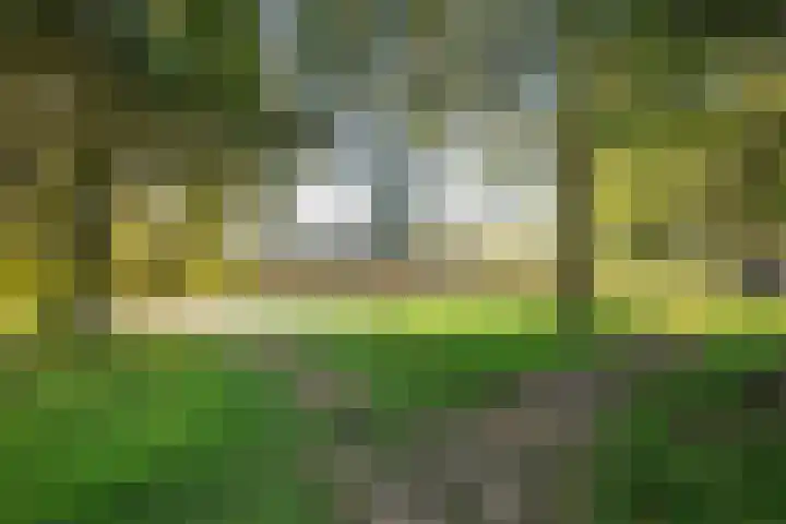 Oude Havenstraat 31 Arnemuiden thumbnail 34