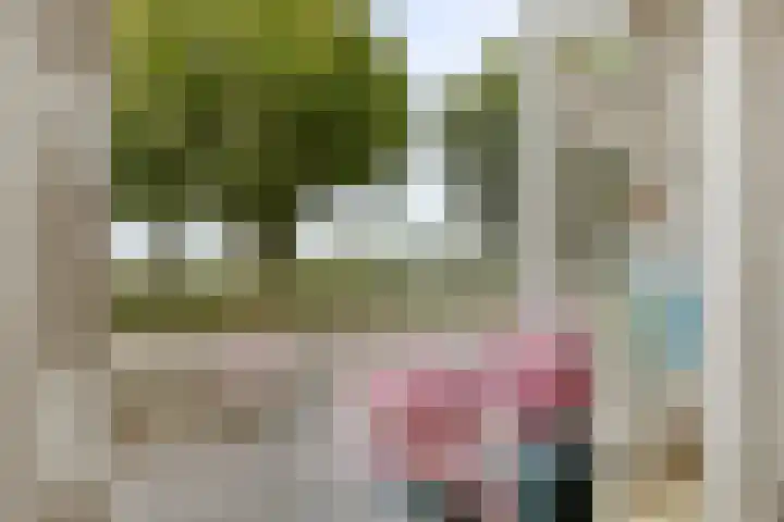 Oude Havenstraat 31 Arnemuiden thumbnail 8