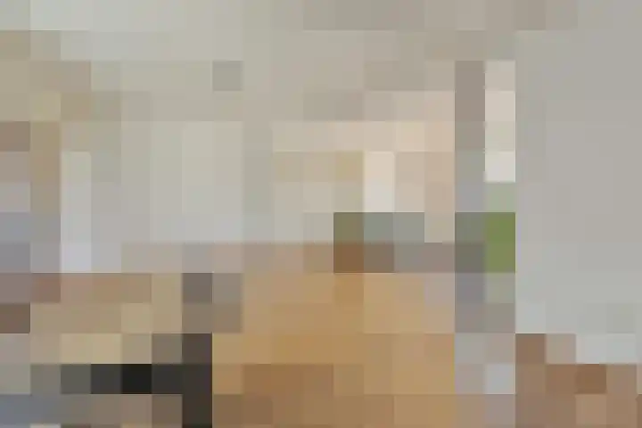 Oude Heiweg 25 Sittard thumbnail 10