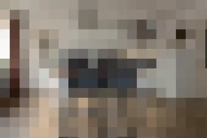 Oude Hof 34 Elspeet thumbnail 14