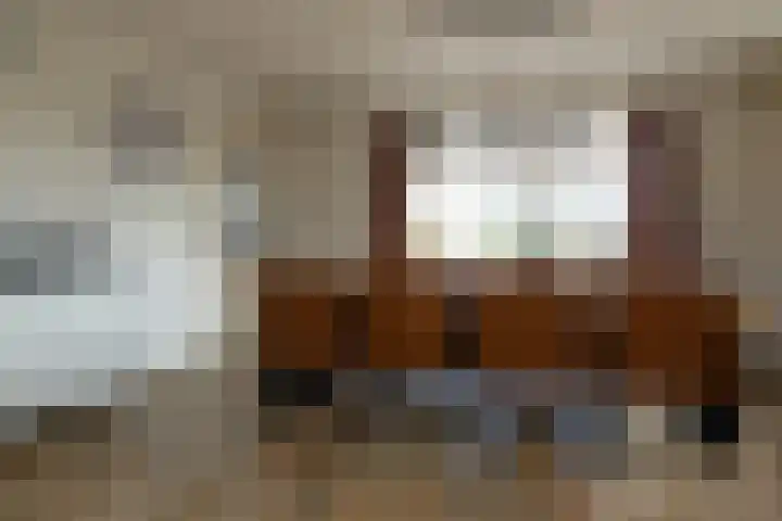 Oude Hof 34 Elspeet thumbnail 19