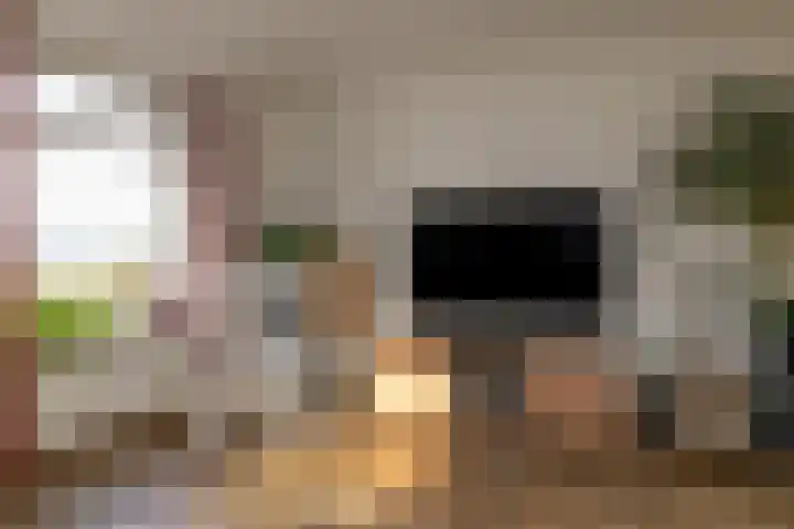 Oude Hof 34 Elspeet thumbnail 23